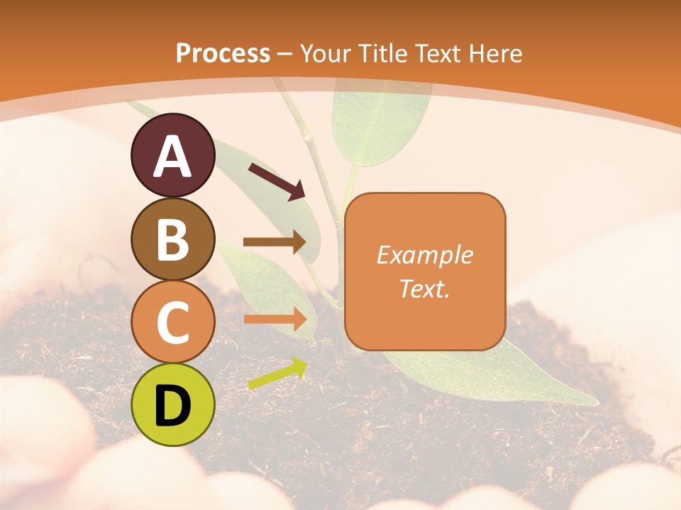 Hands Of The Child With A Young Plant. PowerPoint Template