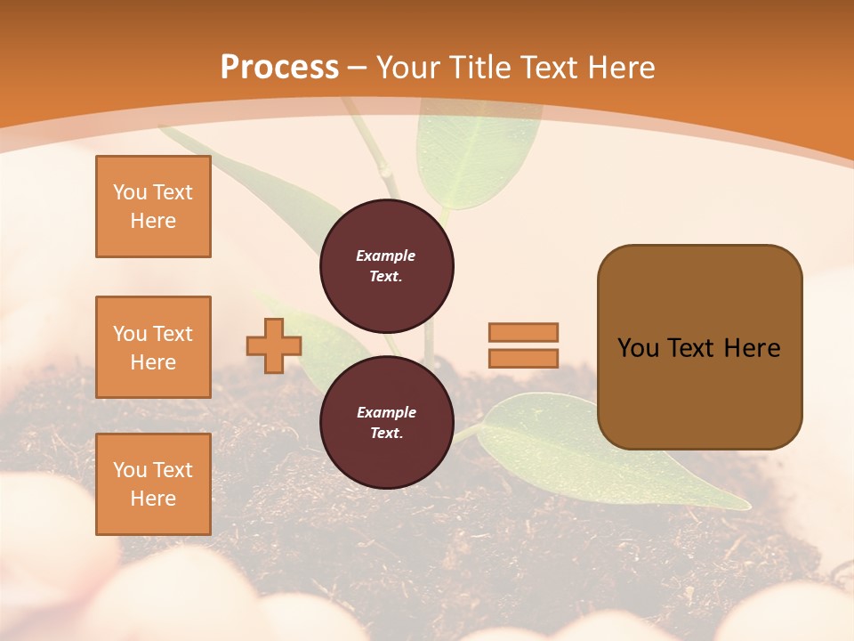 Hands Of The Child With A Young Plant. PowerPoint Template