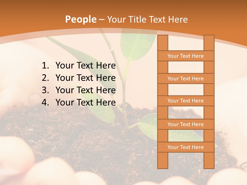 Hands Of The Child With A Young Plant. PowerPoint Template