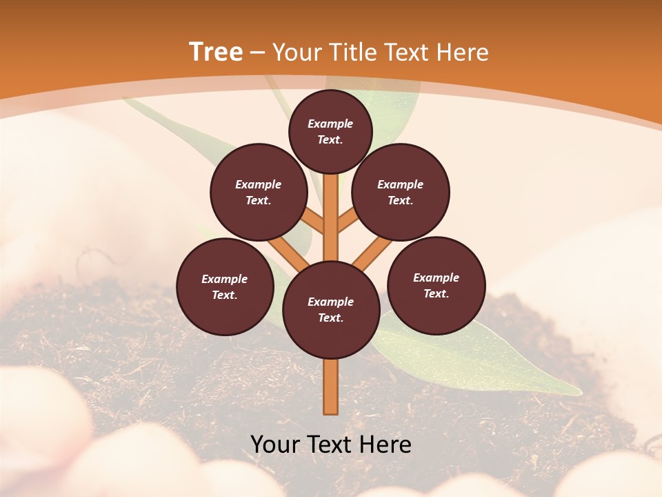 Hands Of The Child With A Young Plant. PowerPoint Template