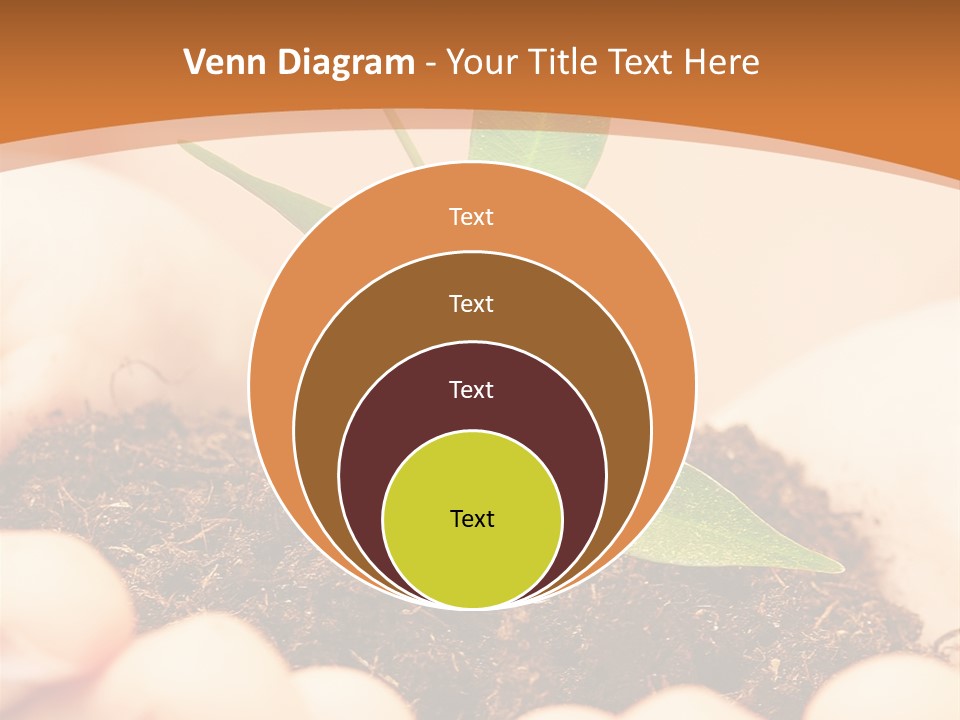 Hands Of The Child With A Young Plant. PowerPoint Template