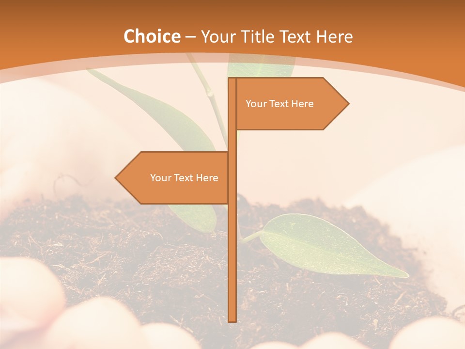 Hands Of The Child With A Young Plant. PowerPoint Template