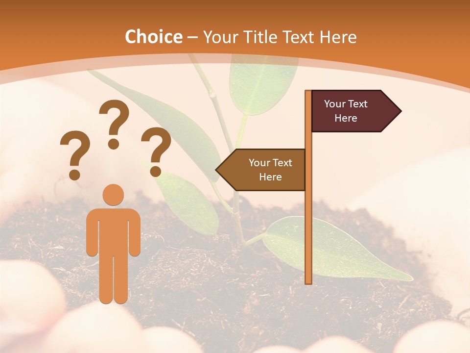 Hands Of The Child With A Young Plant. PowerPoint Template