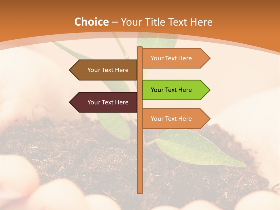 Hands Of The Child With A Young Plant. PowerPoint Template