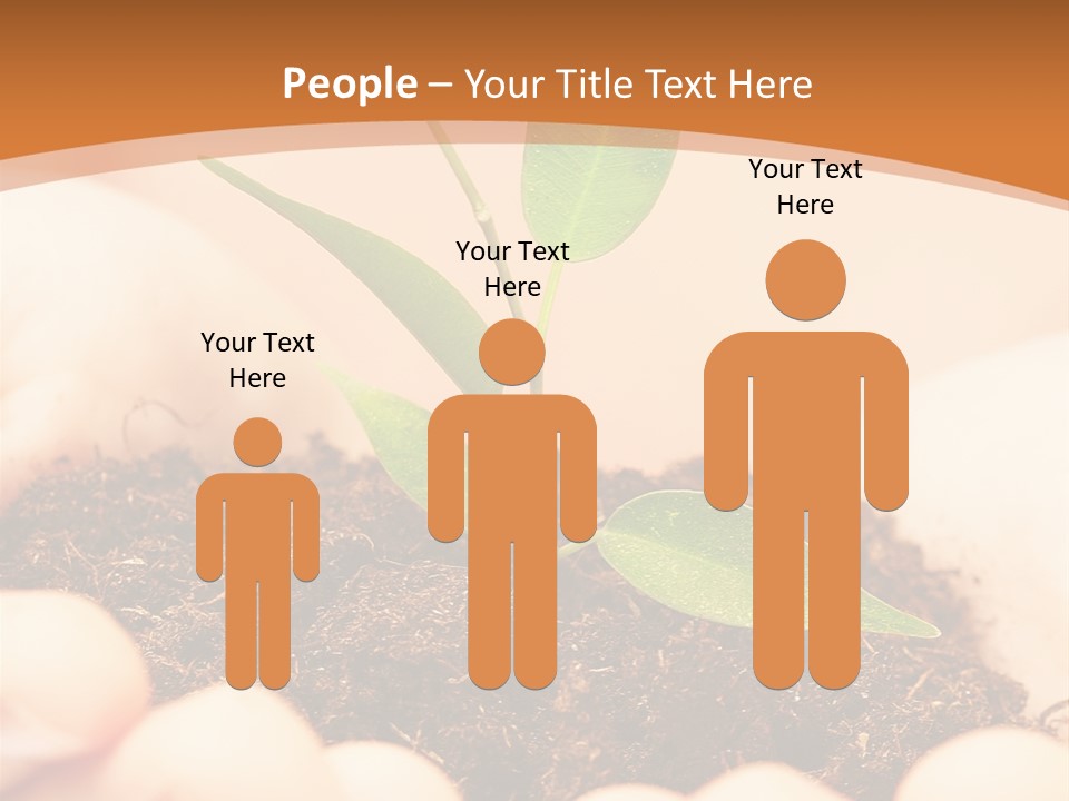 Hands Of The Child With A Young Plant. PowerPoint Template