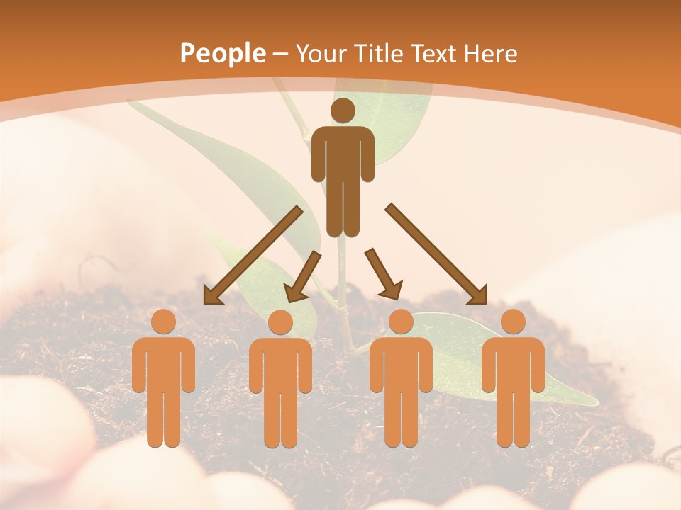 Hands Of The Child With A Young Plant. PowerPoint Template