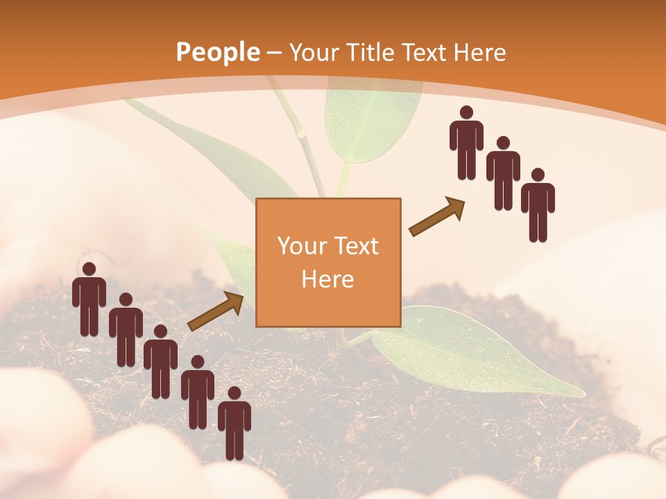 Hands Of The Child With A Young Plant. PowerPoint Template