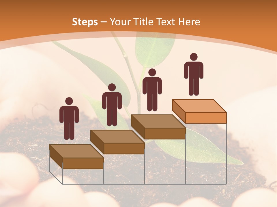 Hands Of The Child With A Young Plant. PowerPoint Template