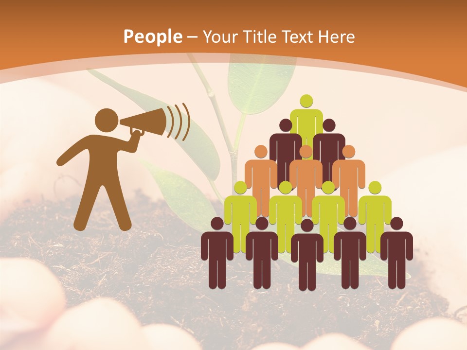 Hands Of The Child With A Young Plant. PowerPoint Template