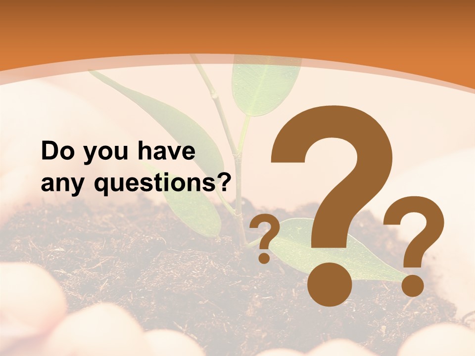 Hands Of The Child With A Young Plant. PowerPoint Template