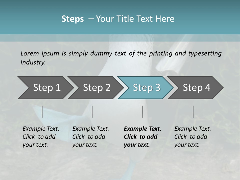 Blue-Footed Boobie PowerPoint Template