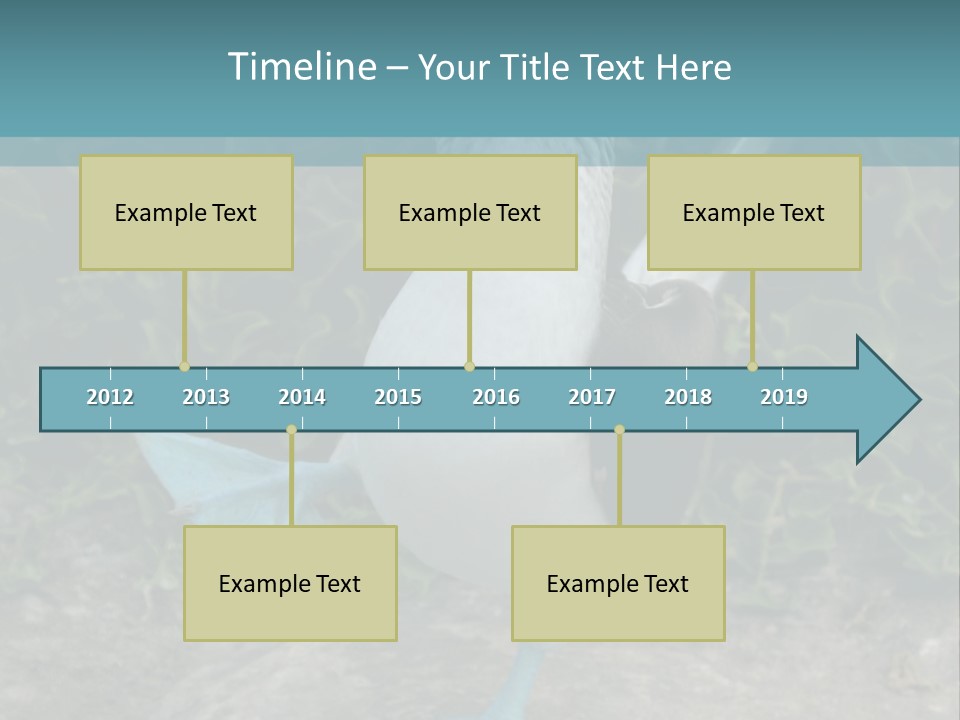 Blue-Footed Boobie PowerPoint Template