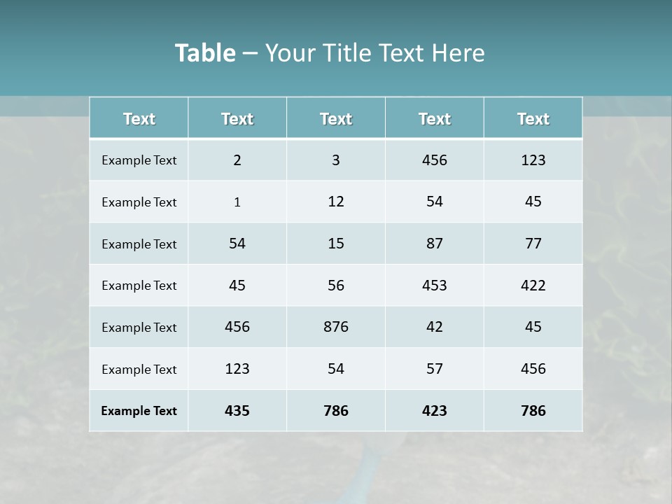 Blue-Footed Boobie PowerPoint Template