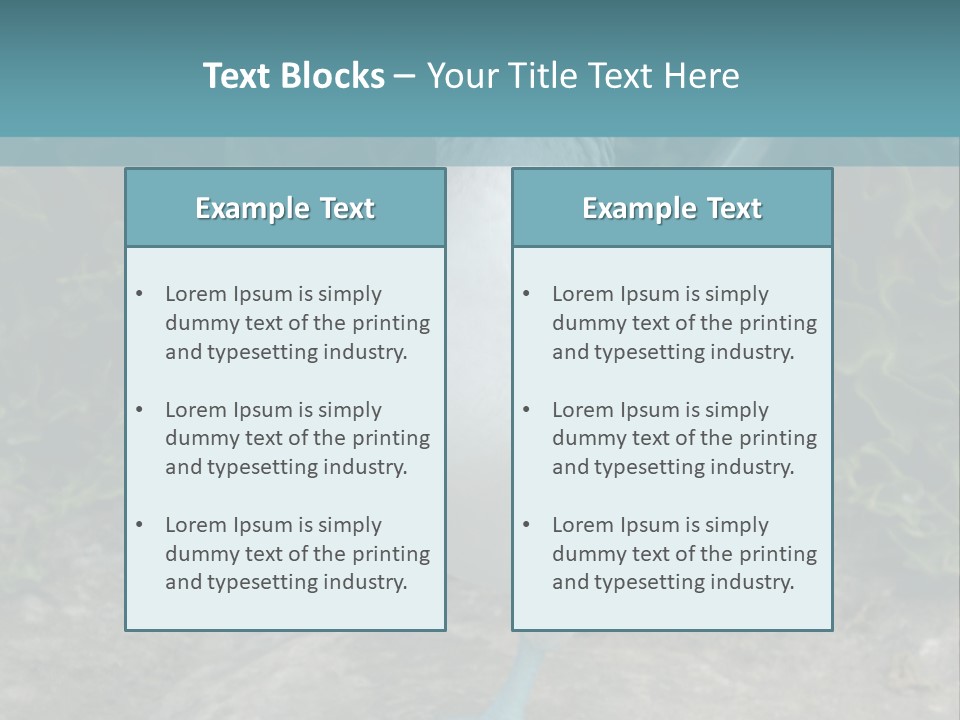 Blue-Footed Boobie PowerPoint Template