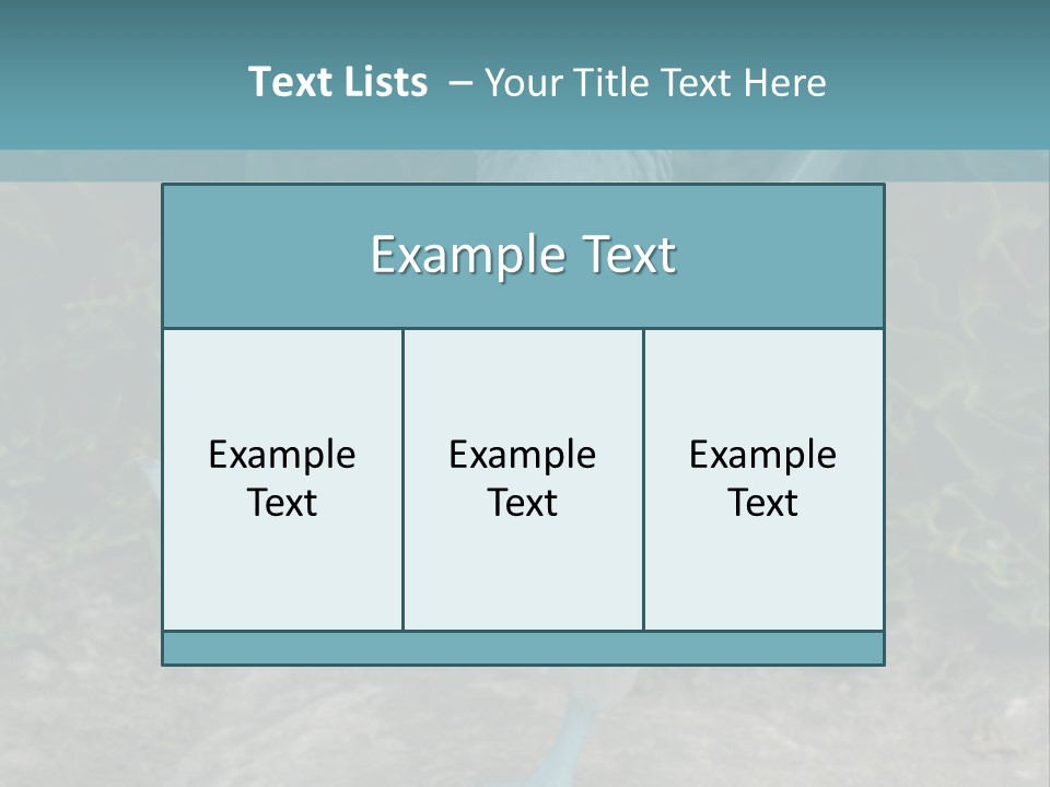 Blue-Footed Boobie PowerPoint Template