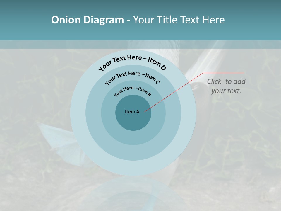 Blue-Footed Boobie PowerPoint Template