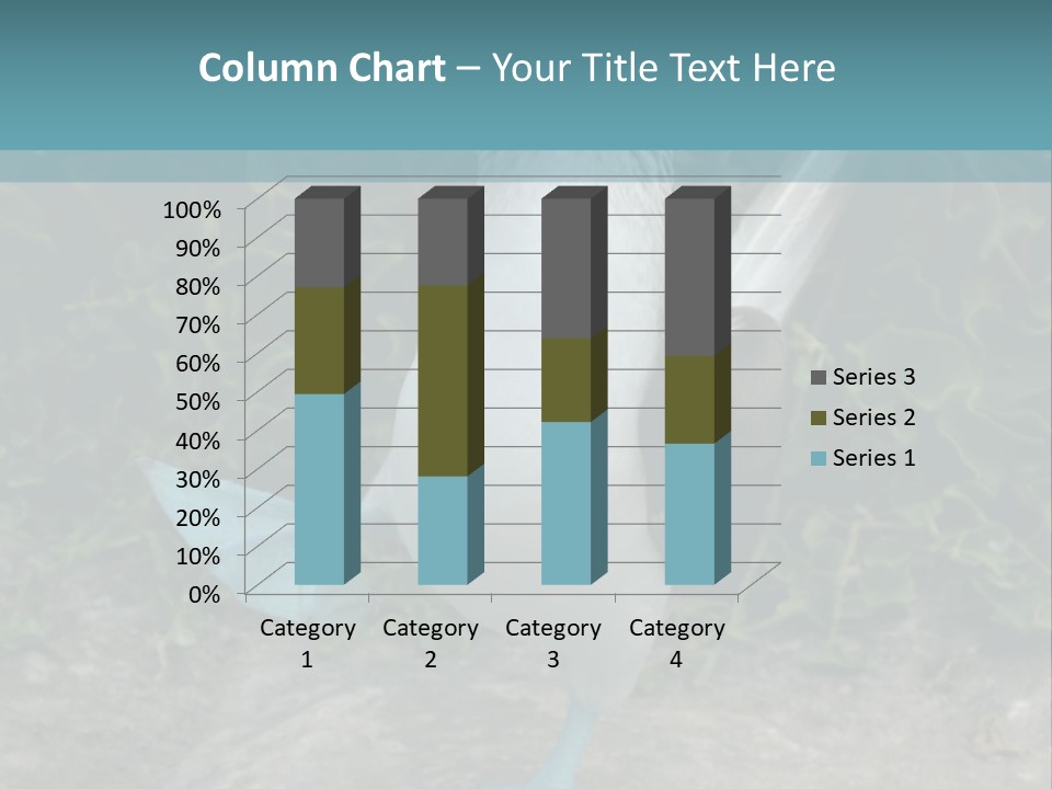 Blue-Footed Boobie PowerPoint Template