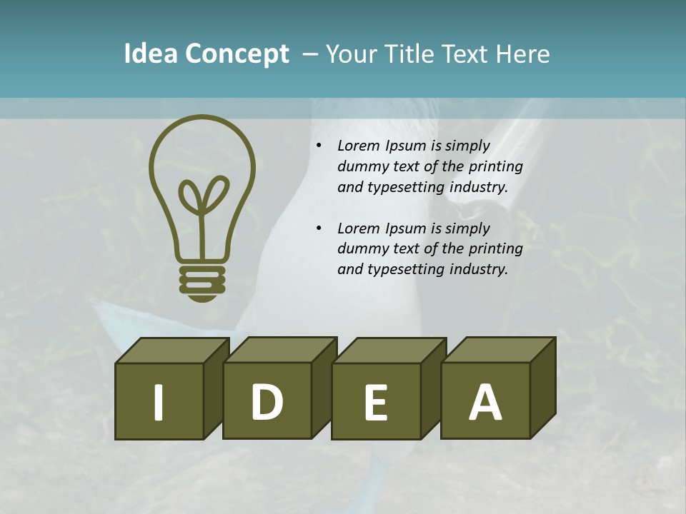 Blue-Footed Boobie PowerPoint Template