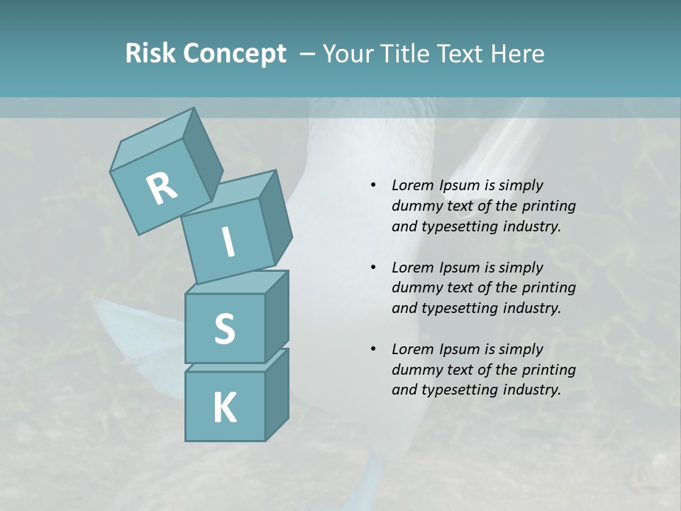 Blue-Footed Boobie PowerPoint Template