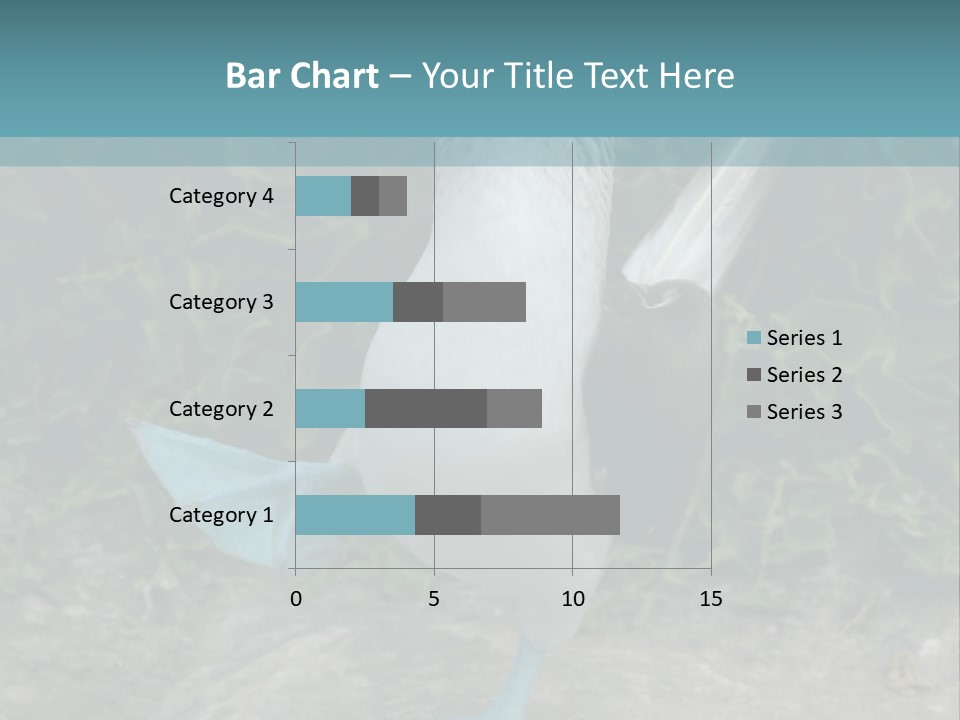 Blue-Footed Boobie PowerPoint Template
