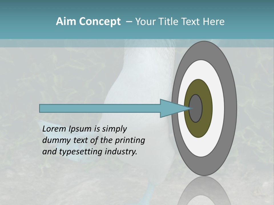 Blue-Footed Boobie PowerPoint Template