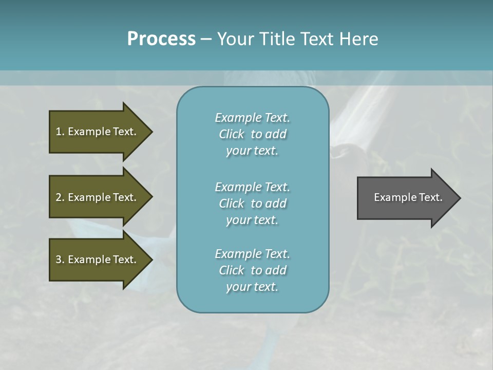 Blue-Footed Boobie PowerPoint Template