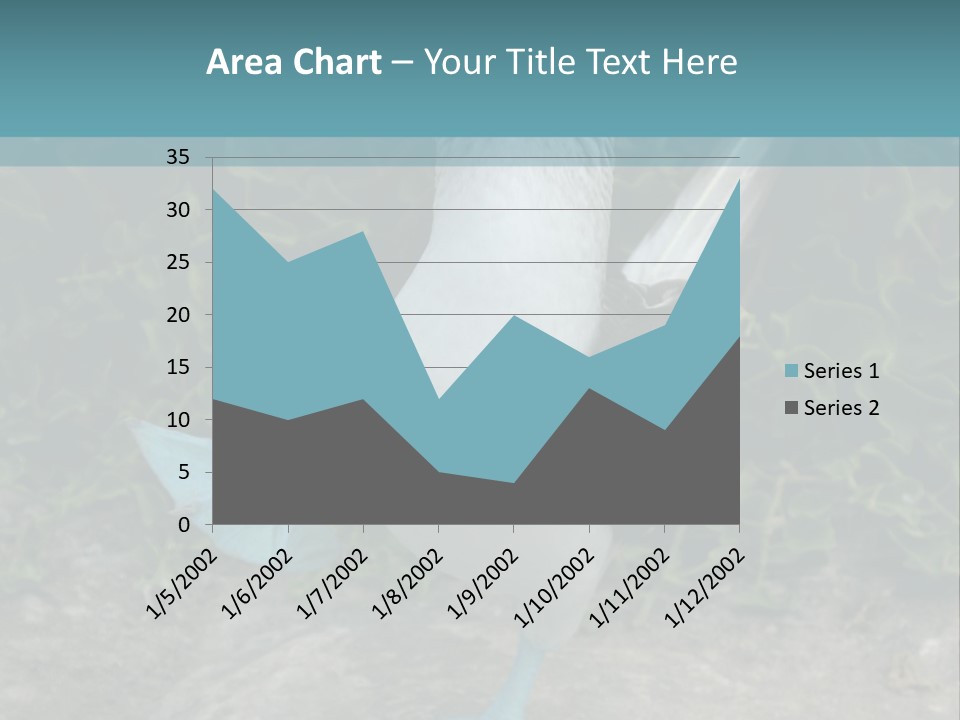 Blue-Footed Boobie PowerPoint Template