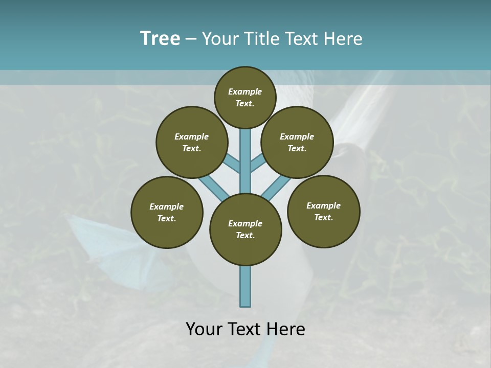 Blue-Footed Boobie PowerPoint Template