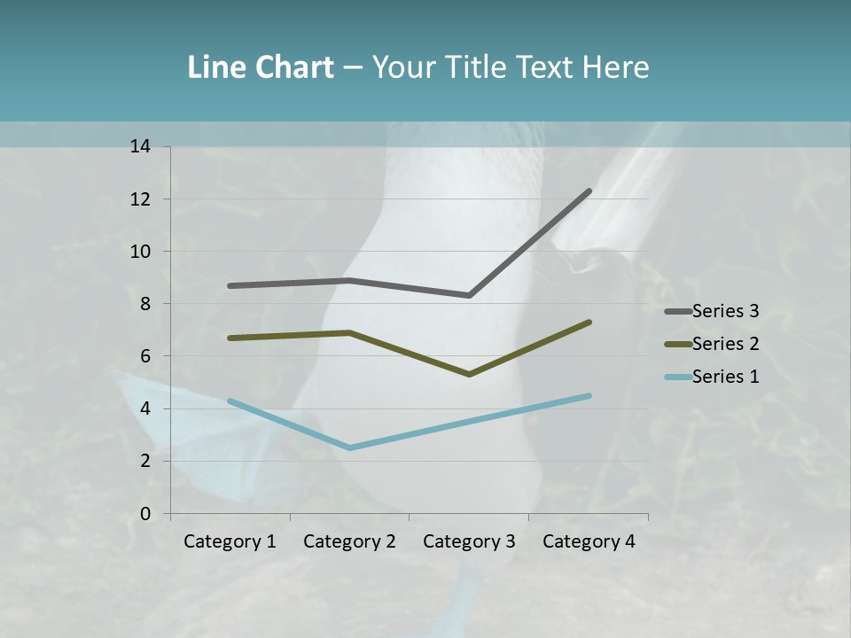 Blue-Footed Boobie PowerPoint Template