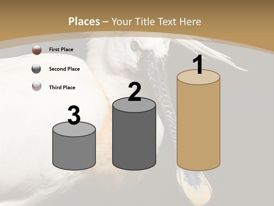 A White Bird With A Blue Tie On It's Neck PowerPoint Template