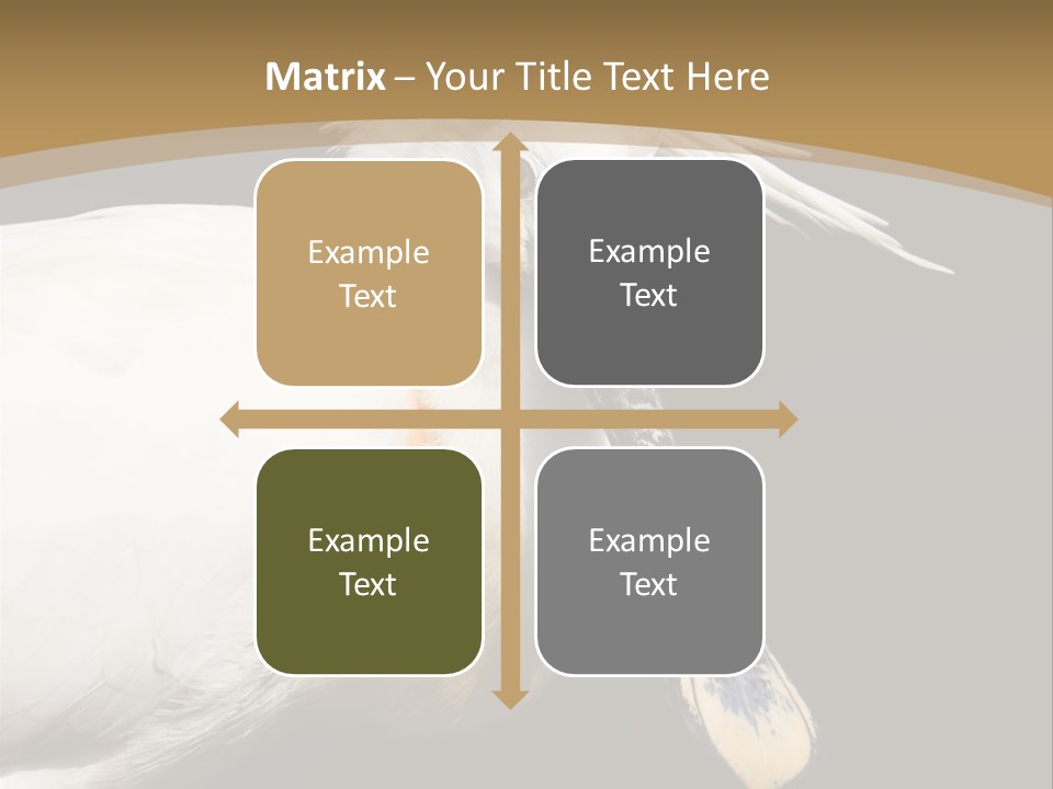 A White Bird With A Blue Tie On It's Neck PowerPoint Template