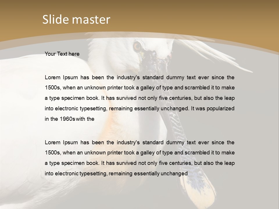 A White Bird With A Blue Tie On It's Neck PowerPoint Template