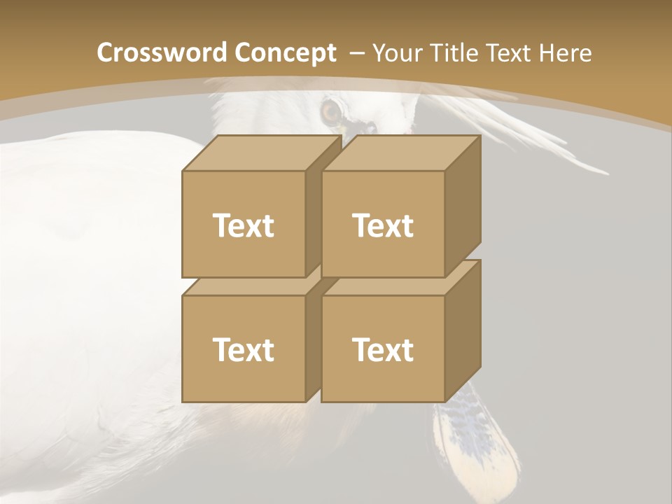 A White Bird With A Blue Tie On It's Neck PowerPoint Template