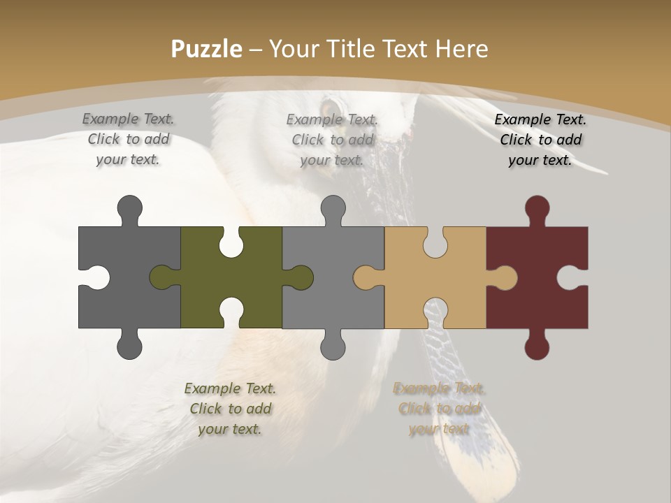 A White Bird With A Blue Tie On It's Neck PowerPoint Template