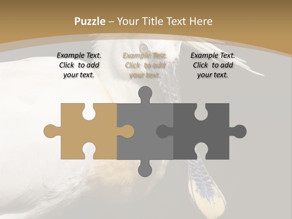 A White Bird With A Blue Tie On It's Neck PowerPoint Template