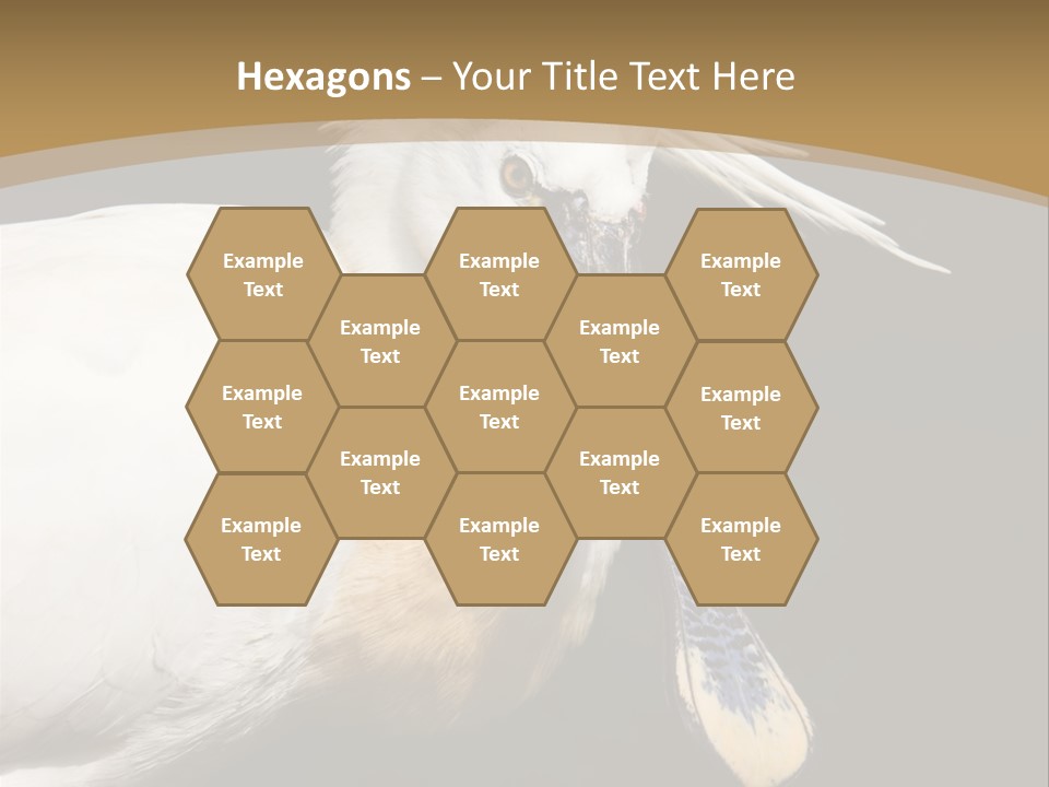 A White Bird With A Blue Tie On It's Neck PowerPoint Template