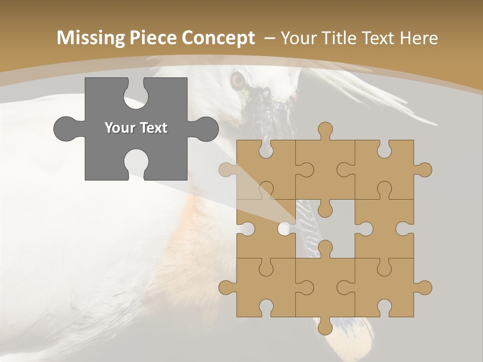 A White Bird With A Blue Tie On It's Neck PowerPoint Template