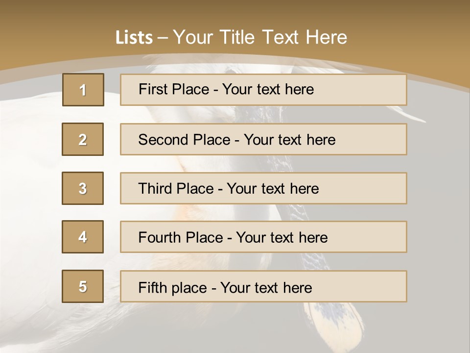 A White Bird With A Blue Tie On It's Neck PowerPoint Template