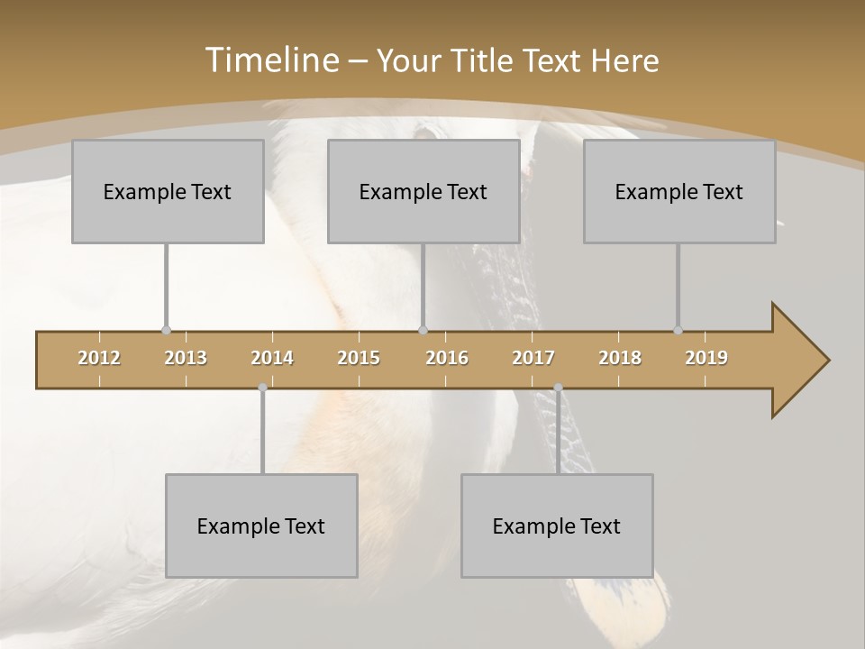 A White Bird With A Blue Tie On It's Neck PowerPoint Template