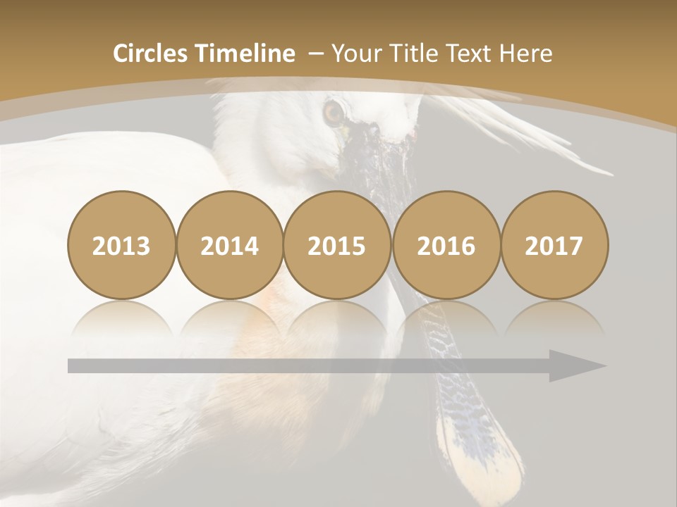 A White Bird With A Blue Tie On It's Neck PowerPoint Template