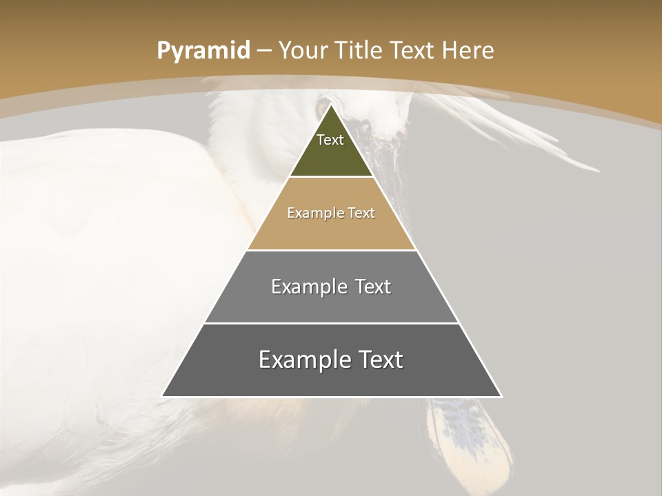 A White Bird With A Blue Tie On It's Neck PowerPoint Template