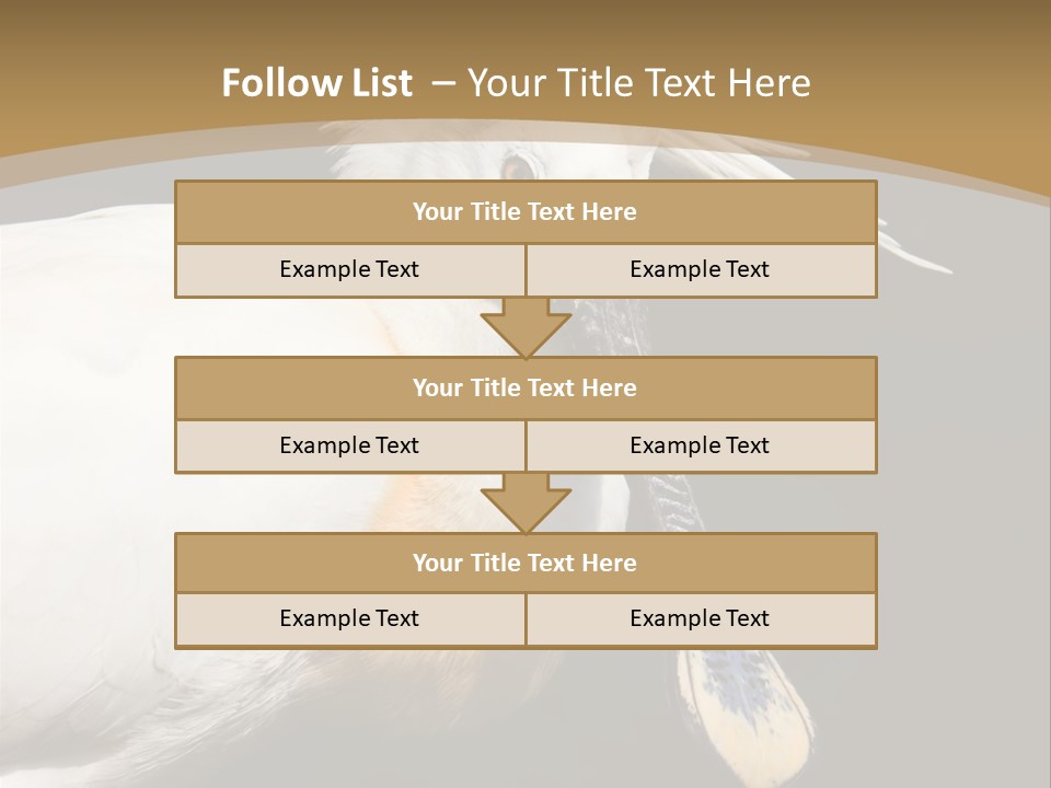 A White Bird With A Blue Tie On It's Neck PowerPoint Template