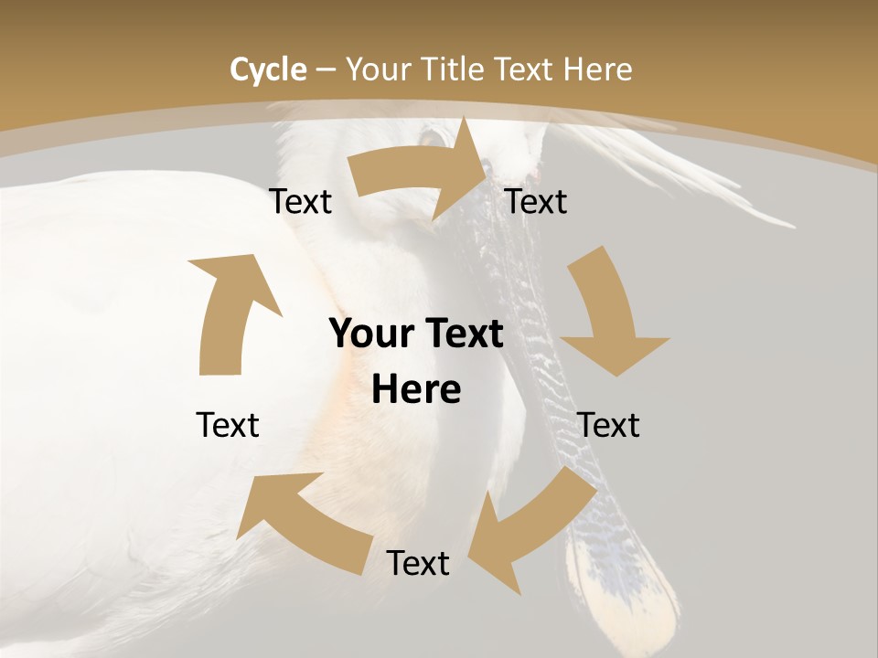 A White Bird With A Blue Tie On It's Neck PowerPoint Template