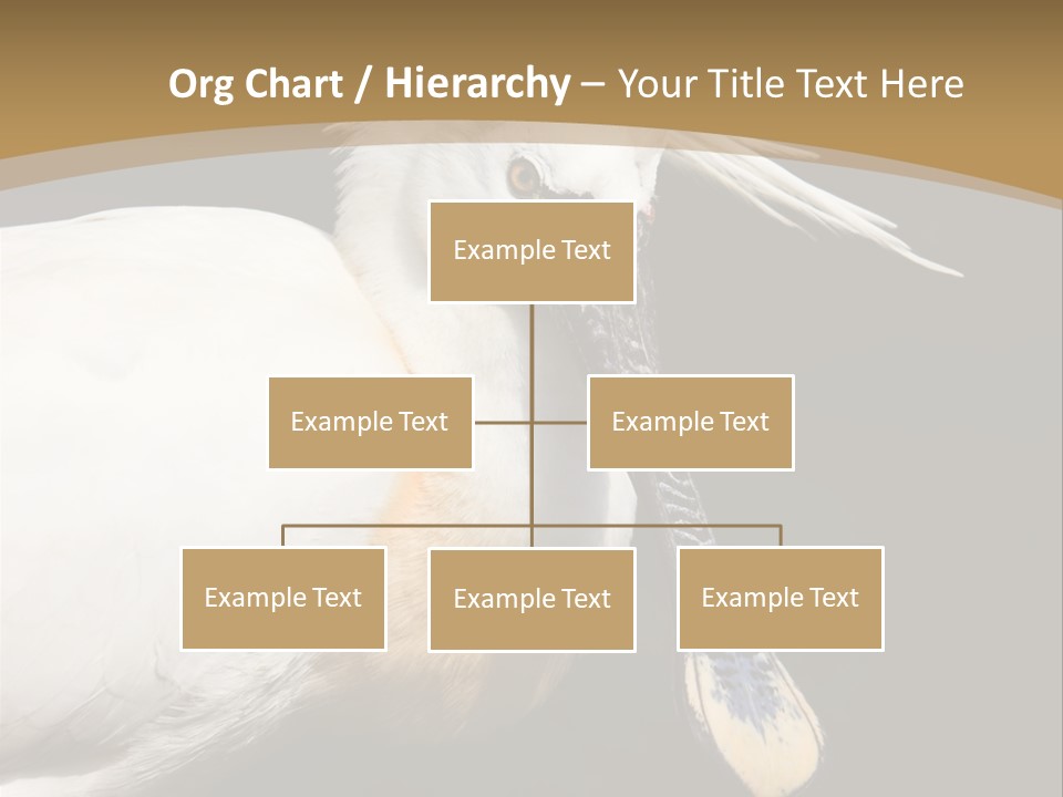 A White Bird With A Blue Tie On It's Neck PowerPoint Template