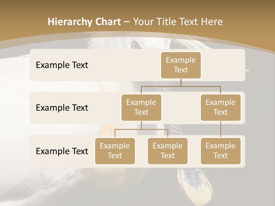 A White Bird With A Blue Tie On It's Neck PowerPoint Template
