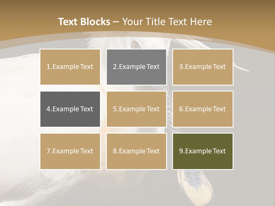 A White Bird With A Blue Tie On It's Neck PowerPoint Template