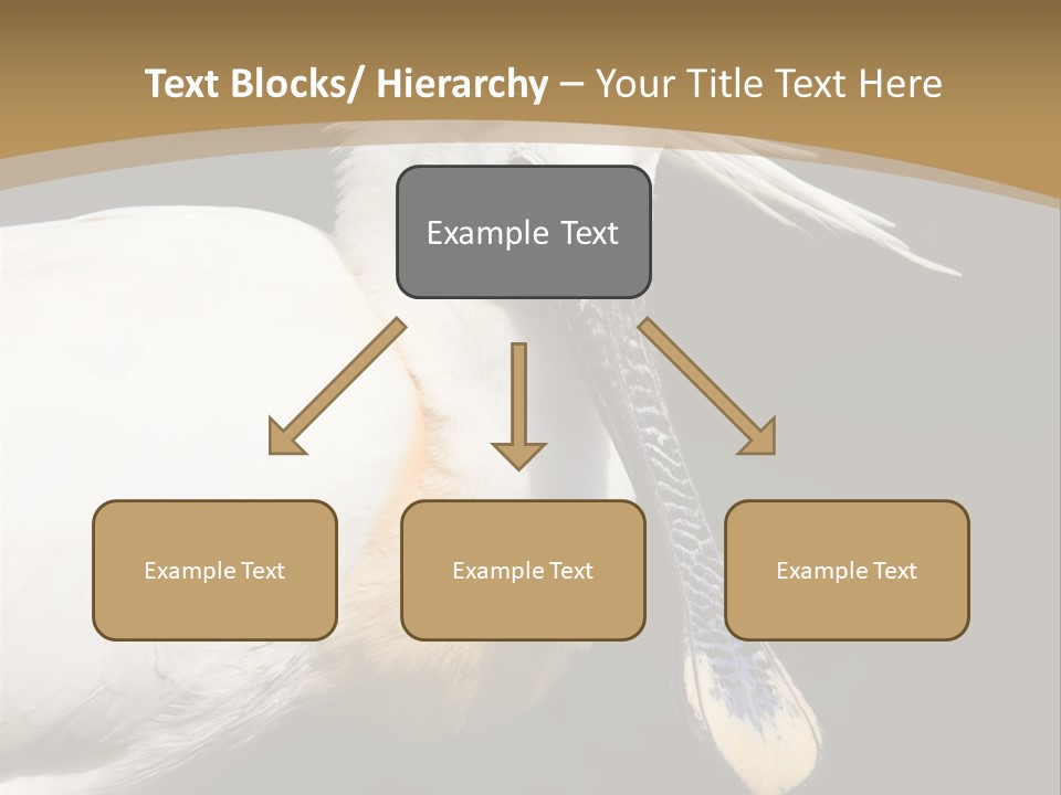 A White Bird With A Blue Tie On It's Neck PowerPoint Template