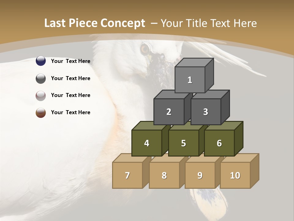 A White Bird With A Blue Tie On It's Neck PowerPoint Template