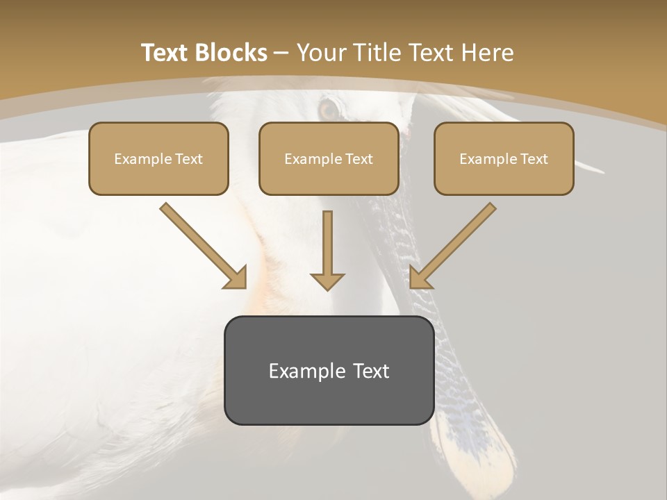 A White Bird With A Blue Tie On It's Neck PowerPoint Template