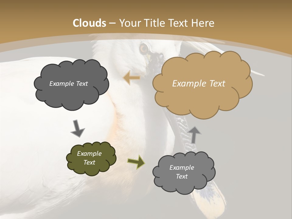 A White Bird With A Blue Tie On It's Neck PowerPoint Template